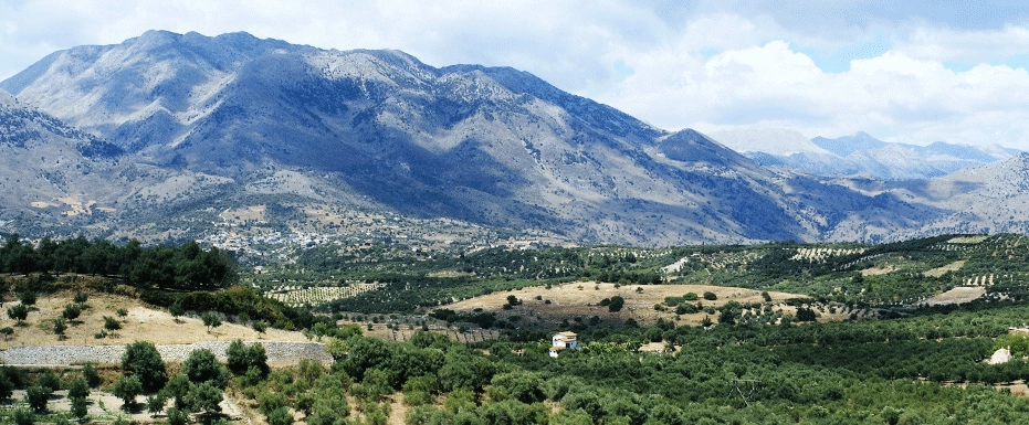 Die Philisophie von Ousia Products